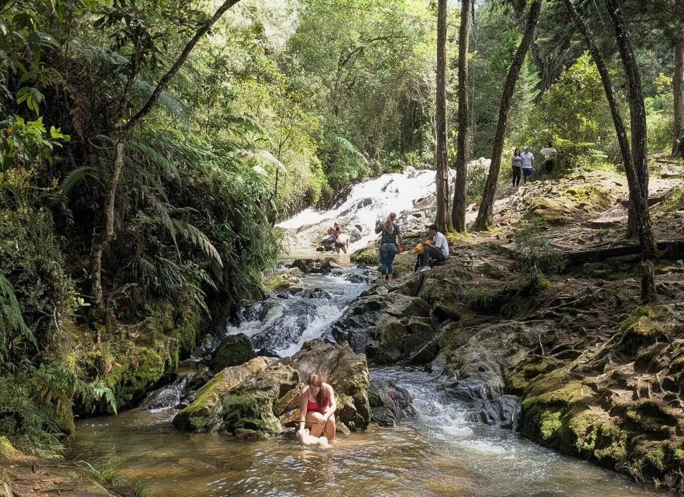 Picture 1 for Activity Arvi Park Walking tour and city views by Cable Ride.