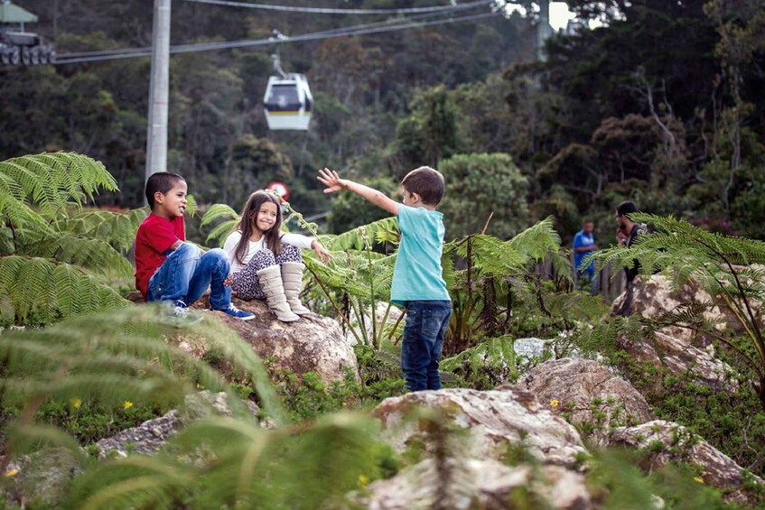 Arvi park: walking tour by metrocable