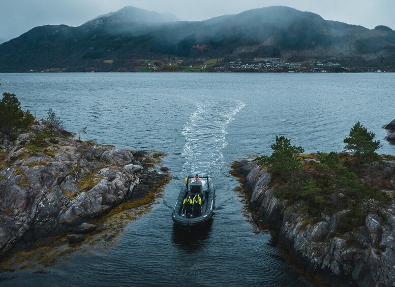 Picture 4 for Activity Rosendal majesty: Exclusive RIB Adventure in Hardangerfjord