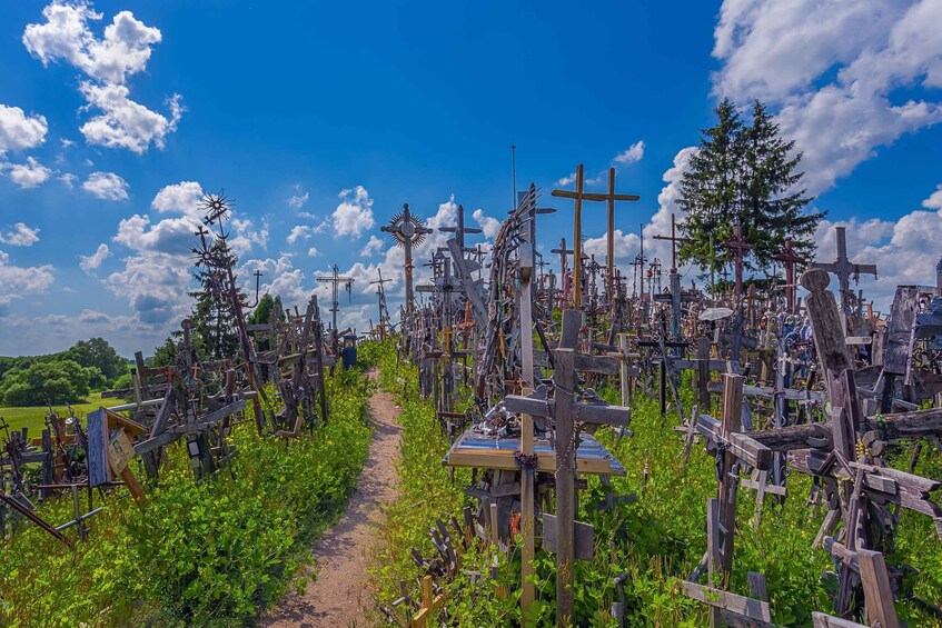 Picture 15 for Activity From Riga: Hill of Crosses, Bauska & Rundale Full-Day Tour