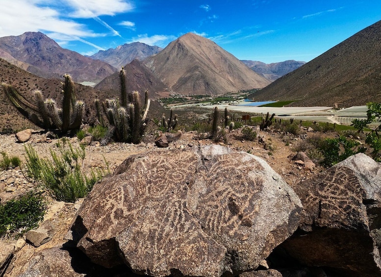 Picture 7 for Activity Must-sees of the Elqui Valley