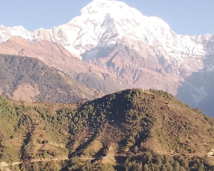 Picture 5 for Activity From Pokhara: 7 Days Budget backpackers group ABC Trek