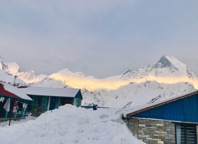 Desde Pokhara: Trekking ABC de 7 días en grupo de mochileros económico