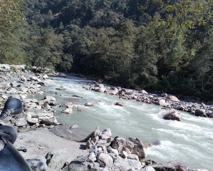 Picture 4 for Activity From Pokhara: 7 Days Budget backpackers group ABC Trek