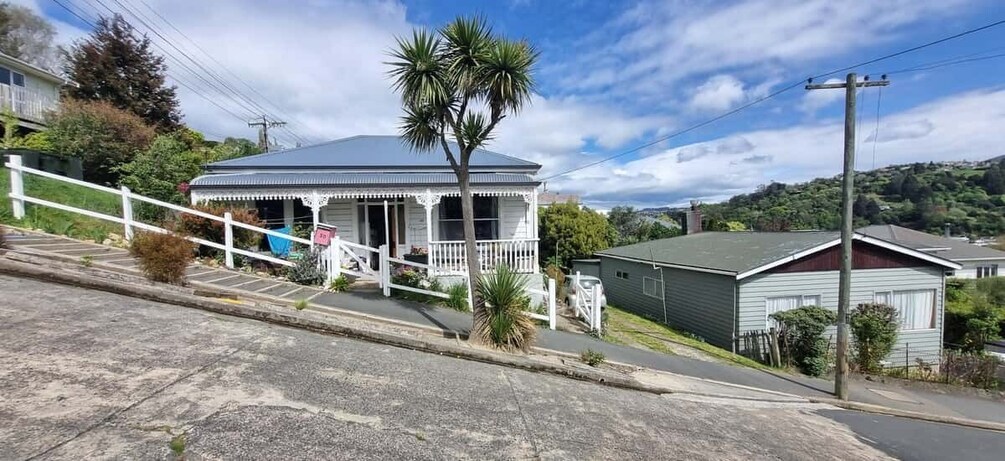 Picture 3 for Activity Dunedin City & Coast Views 3-Hour Small-Group Tour