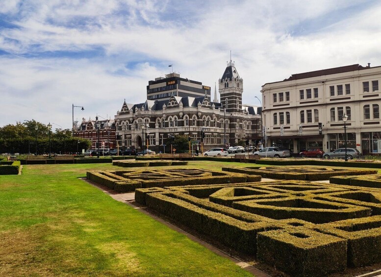 Picture 2 for Activity Dunedin City & Coast Views 3-Hour Small-Group Tour