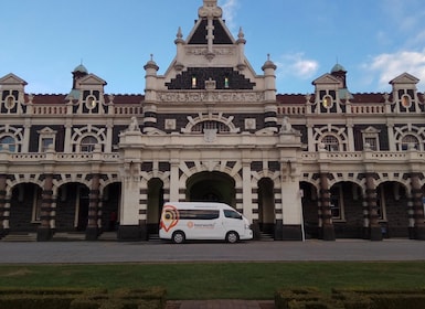 Dunedin City & Coast Views 3-Hour Small-Group Tour