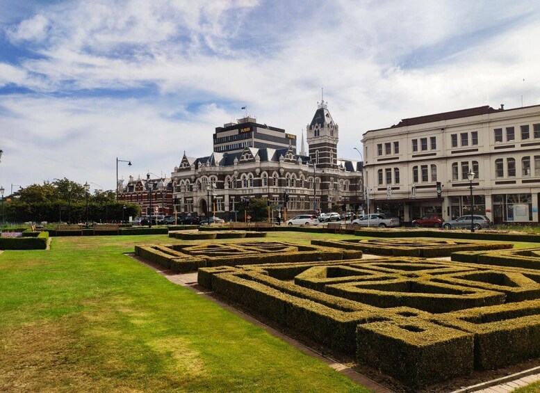 Picture 2 for Activity Dunedin City & Coast Views 3-Hour Small-Group Tour