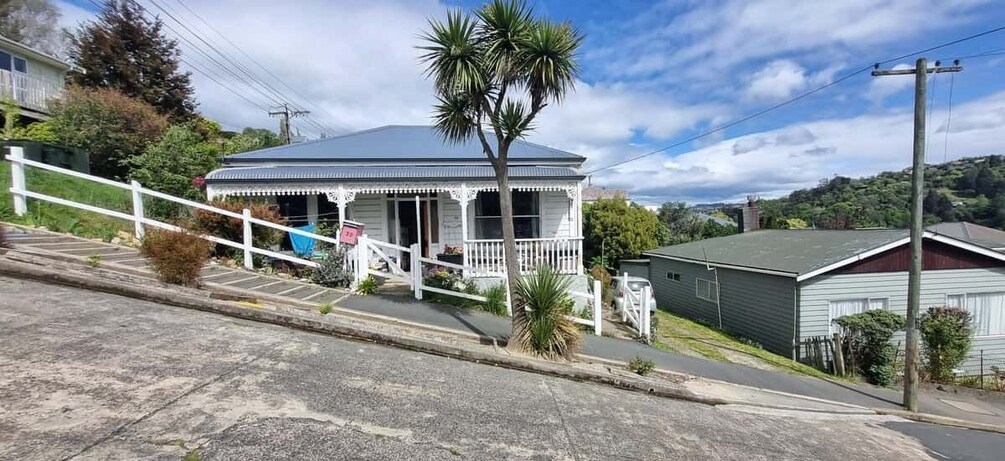 Picture 3 for Activity Dunedin City & Coast Views 3-Hour Small-Group Tour