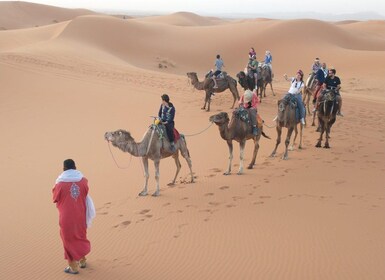 De Marrakech a Fez pasando por el desierto de Merzouga Excursión de 3 días ...