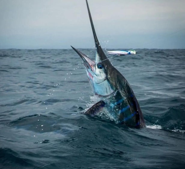 Picture 2 for Activity Puerto Escondido: Fishing Charter