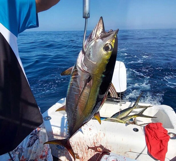 Picture 3 for Activity Puerto Escondido: Fishing Charter