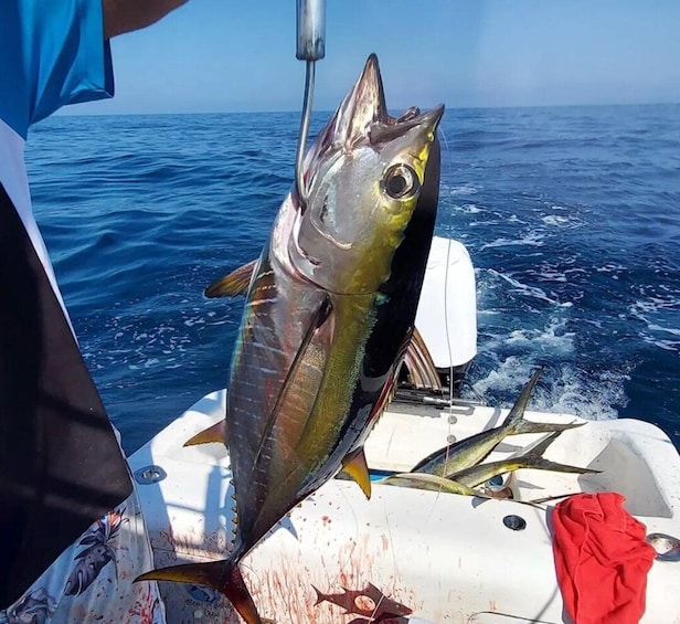 Picture 3 for Activity Puerto Escondido: Fishing Charter