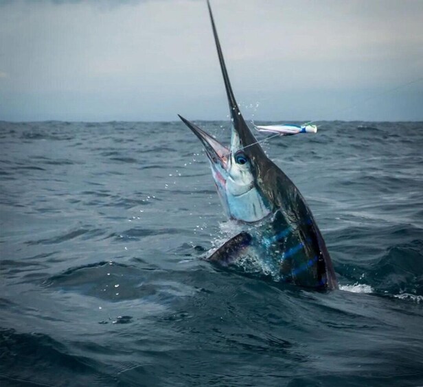 Picture 2 for Activity Puerto Escondido: Fishing Charter