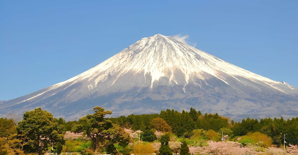 Picture 1 for Activity From Tokyo: 10-hour Private Tour to Mount Fuji and Hakone