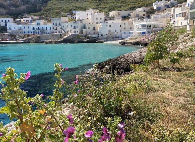 Picture 4 for Activity From Trapani: Favignana and Levanzo Motorboat Cruise