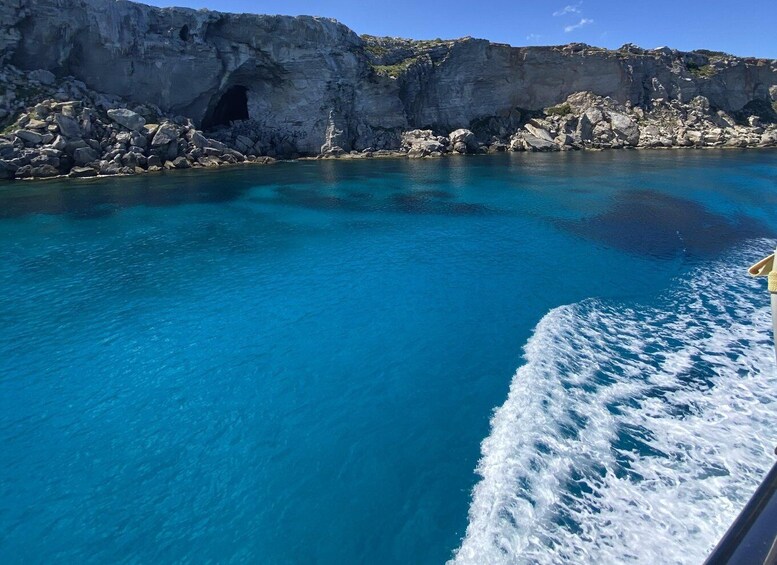 Picture 2 for Activity From Trapani: Favignana and Levanzo Motorboat Cruise
