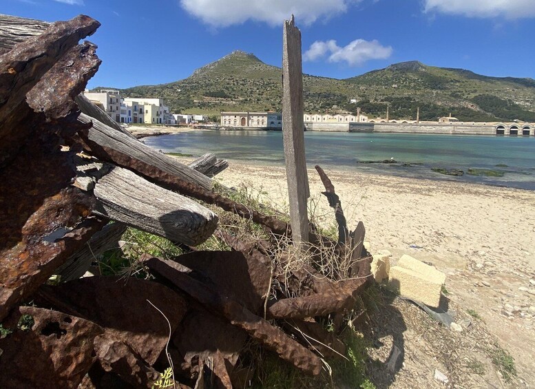 Picture 1 for Activity From Trapani: Favignana and Levanzo Motorboat Cruise