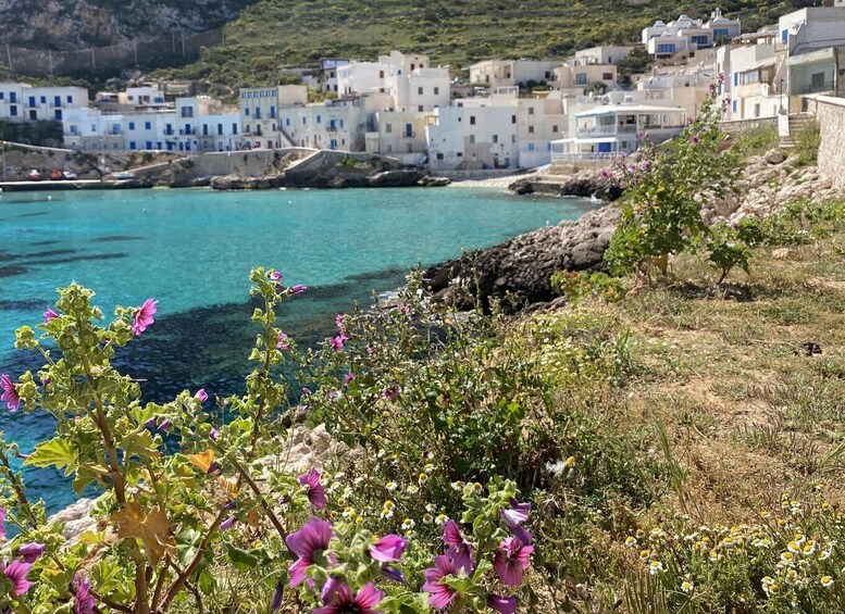 Picture 4 for Activity From Trapani: Favignana and Levanzo Motorboat Cruise