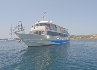 From Trapani: Favignana and Levanzo Motorboat Cruise