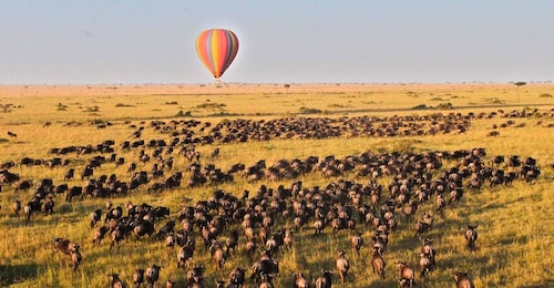 Maasai mara: 3 days group joining safari at Jambo mara lodge