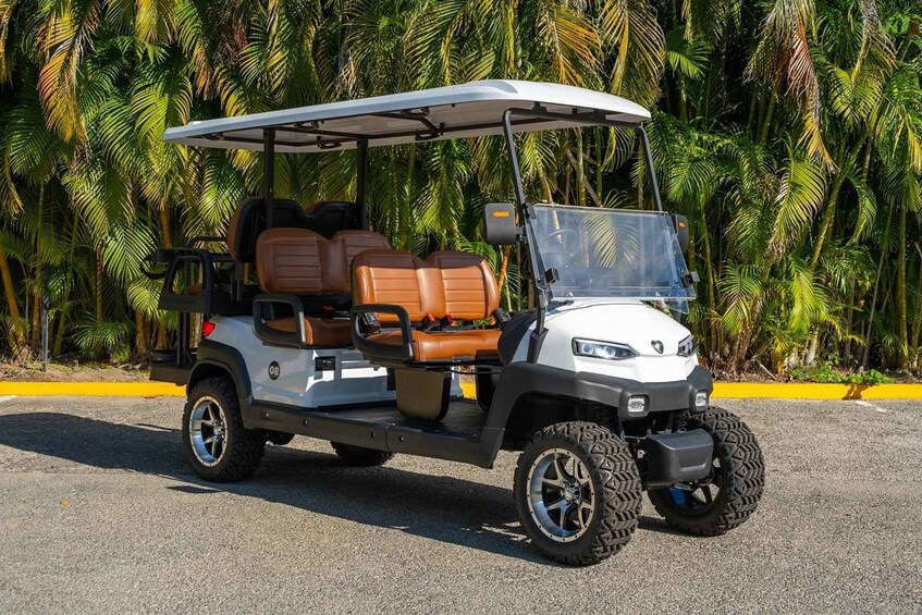 Picture 1 for Activity Punta de Mita Golf Cart Rentals