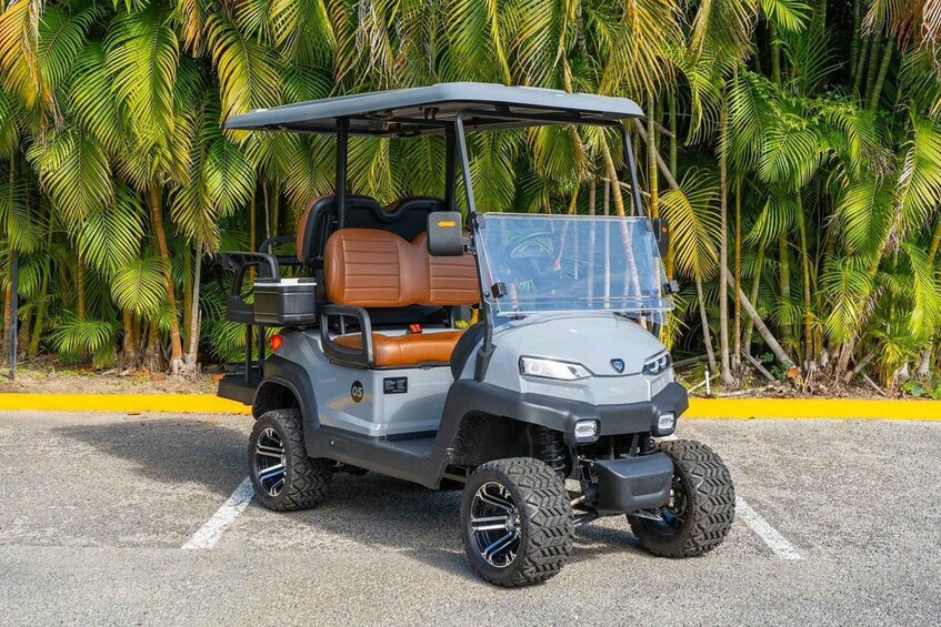 Picture 3 for Activity Punta de Mita Golf Cart Rentals