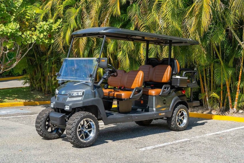 Picture 2 for Activity Punta de Mita Golf Cart Rentals