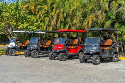 Alquiler de carros de golf en Punta de Mita