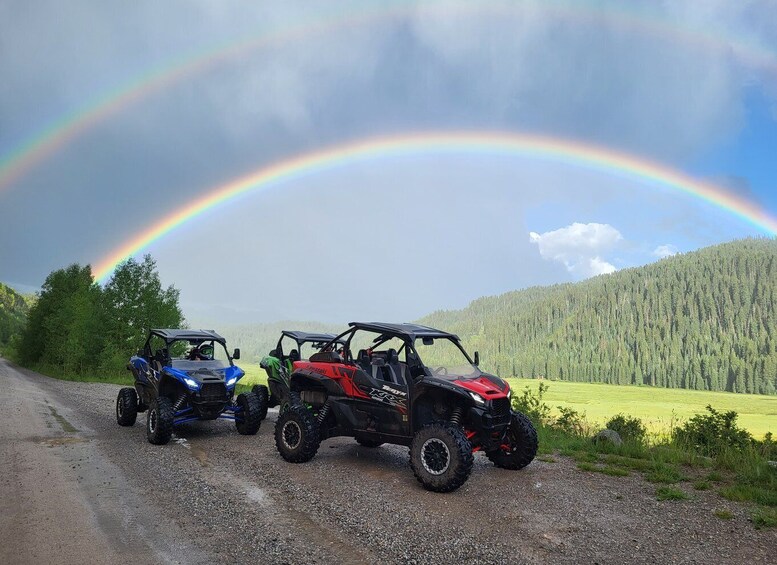 Durango: Guided 2 Hr UTV/RZR Tour