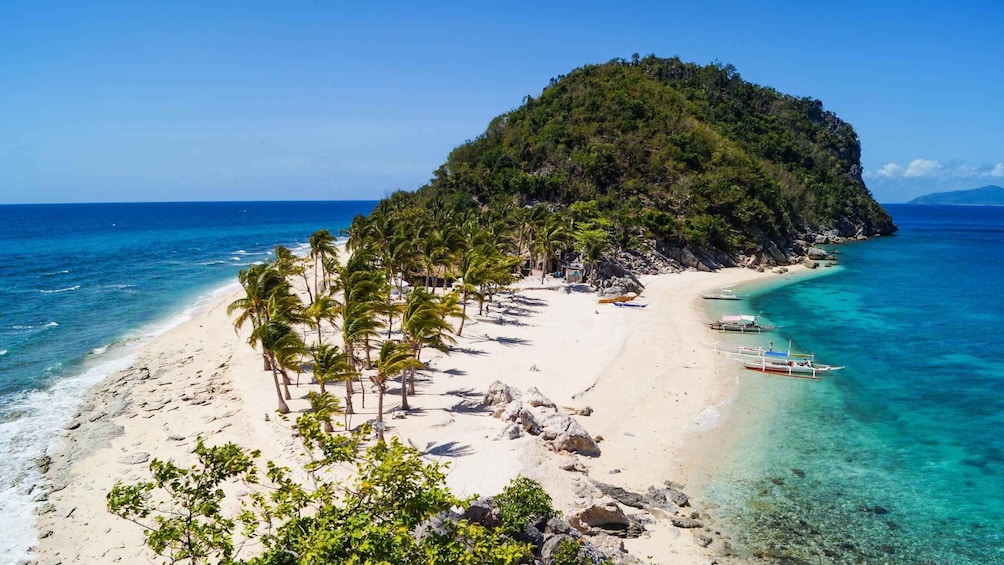 Isla Gigantes Island Hopping Tour (Private Tour)