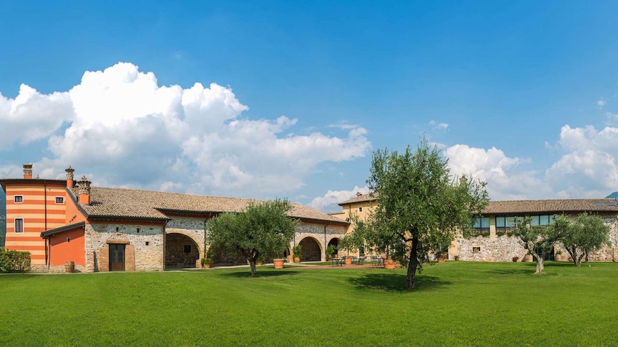 Lake Garda: Garda Hills Wine Tour and Tasting