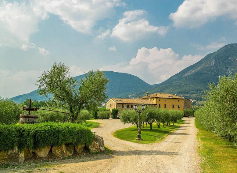 Picture 6 for Activity Lake Garda: Garda Hills Wine Tour and Tasting