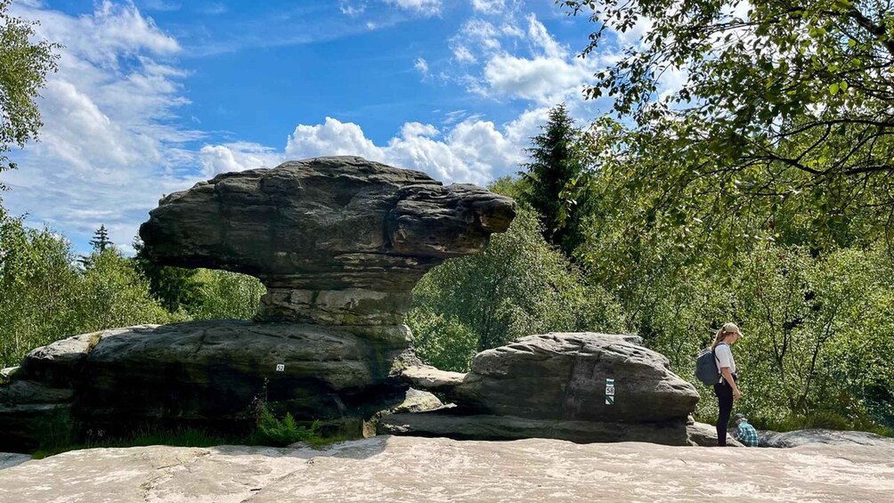 Picture 4 for Activity From Dresden: Bastei Bridge & Bohemian Switzerland Day Trip