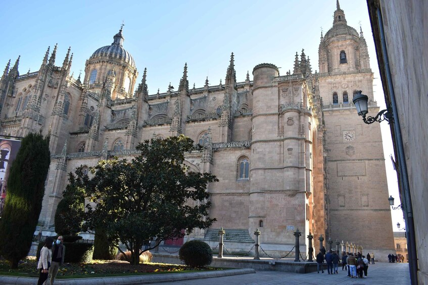 Picture 2 for Activity Salamanca: Fairytale Tour for Families and Children