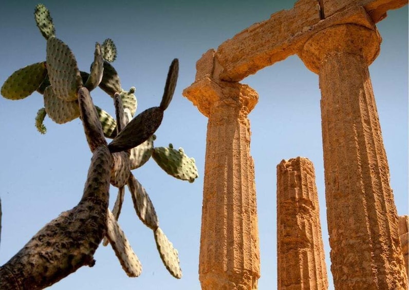 Picture 2 for Activity From Agrigento to Siracusa: Valley of Temples & Roman Villa