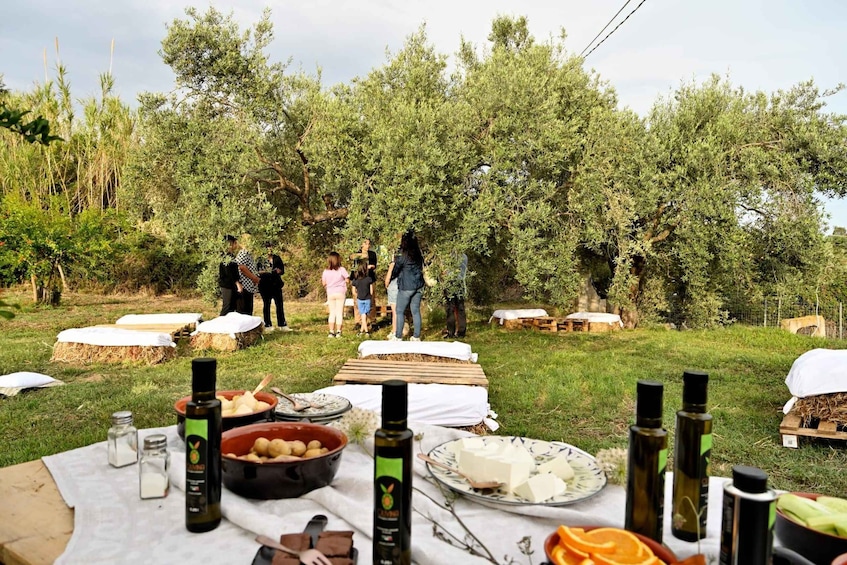 Picture 11 for Activity Sardegna: tour nel mondo dell' olio ExtraVergine, in tedesco