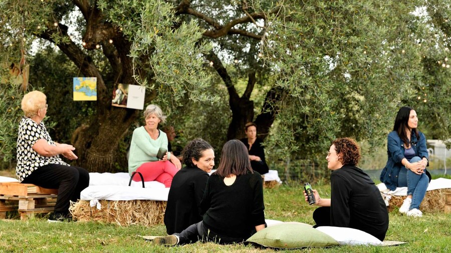Sardegna: tour nel mondo dell' olio ExtraVergine, in tedesco