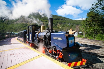 Ushuaia: Tierra del Fuegon kansallispuisto Puolipäiväretki