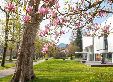 Baden-Baden: Sightseeing Highlights Guided Walking Tour