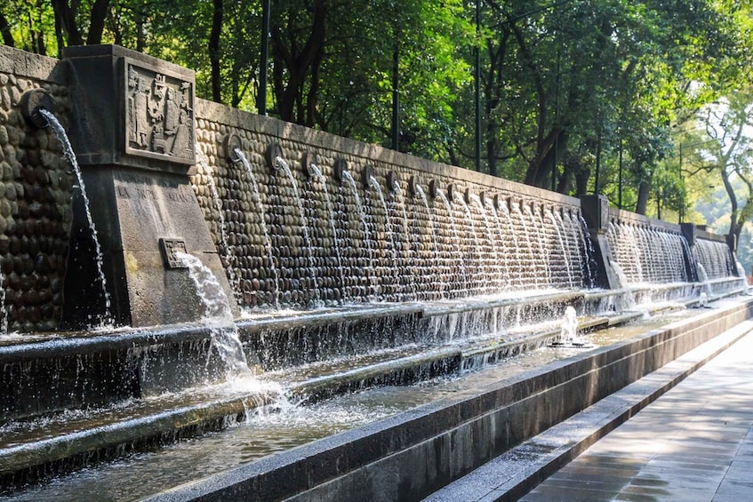 Picture 3 for Activity Mexico City: Walk Through Chapultepec Park Secrets + Picnic