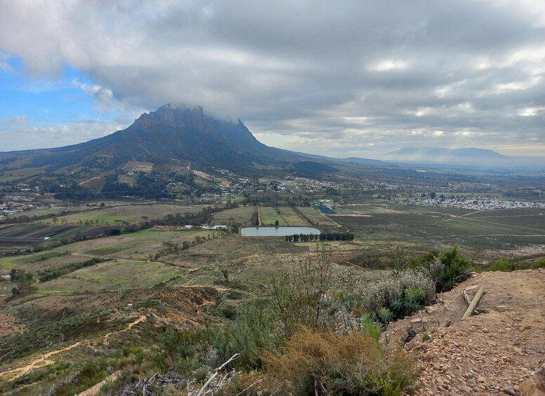 Picture 3 for Activity Stellenbosch: Half-Day Guided Nature Hike and Wine Tasting