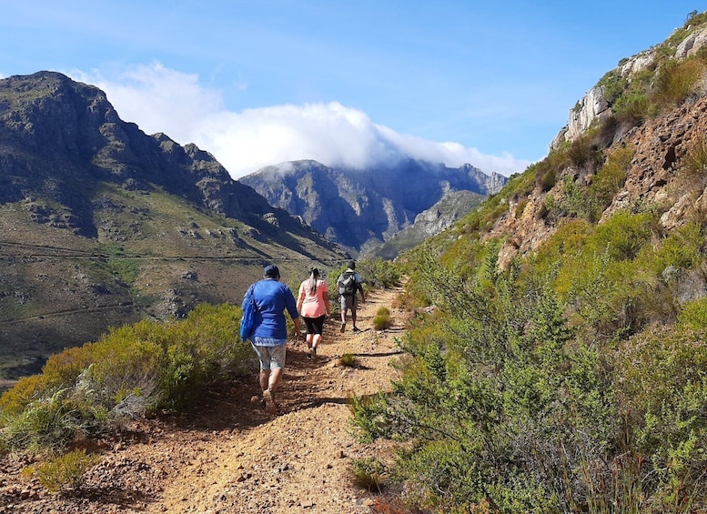 Stellenbosch: Half-Day Guided Nature Hike and Wine Tasting