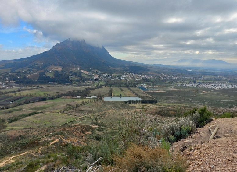 Picture 3 for Activity Stellenbosch: Half-Day Guided Nature Hike and Wine Tasting