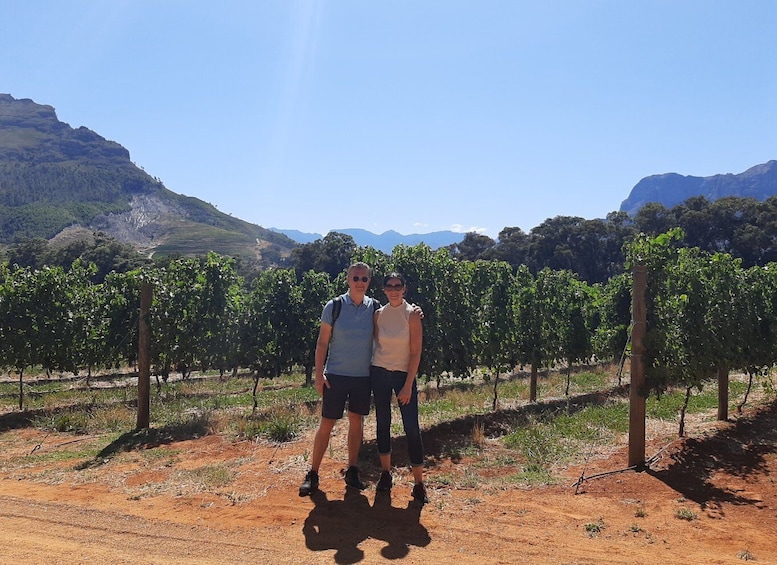 Picture 1 for Activity Stellenbosch: Half-Day Guided Nature Hike and Wine Tasting