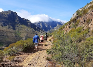 Stellenbosch: Half-Day Guided Nature Hike and Wine Tasting