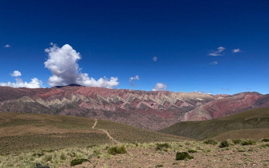 Picture 31 for Activity From Jujuy: Serranías de Hornocal with Quebrada de Humahuaca