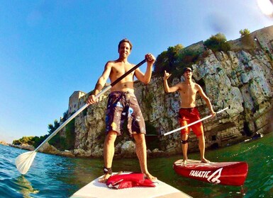 Stand-up padling og snorkling med lokal guide i nærheten av Nice