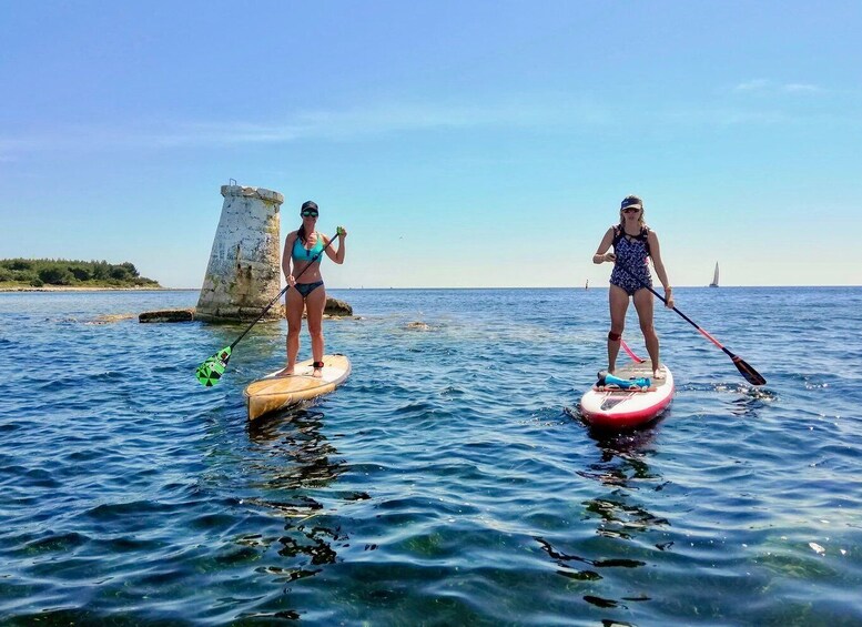 Picture 4 for Activity Stand-Up Paddle & Snorkeling with local Guide near Nice