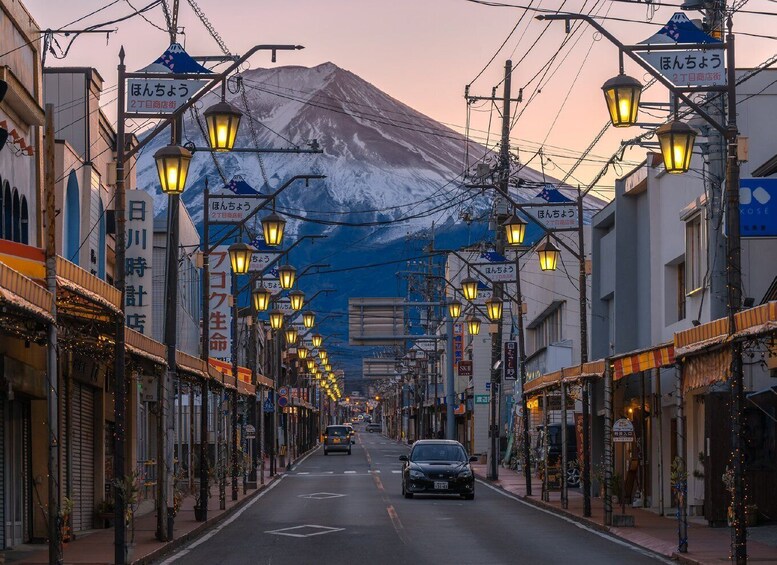 Picture 1 for Activity From Tokyo: 10-hour Mount Fuji Private Customizable Tour